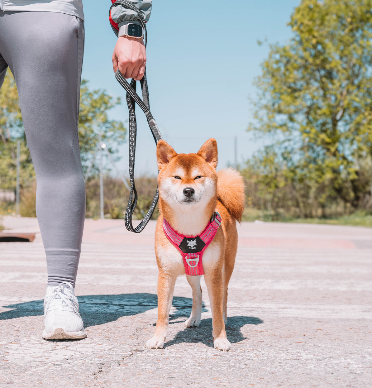 CountryFox™ Dog Harness | Foxys