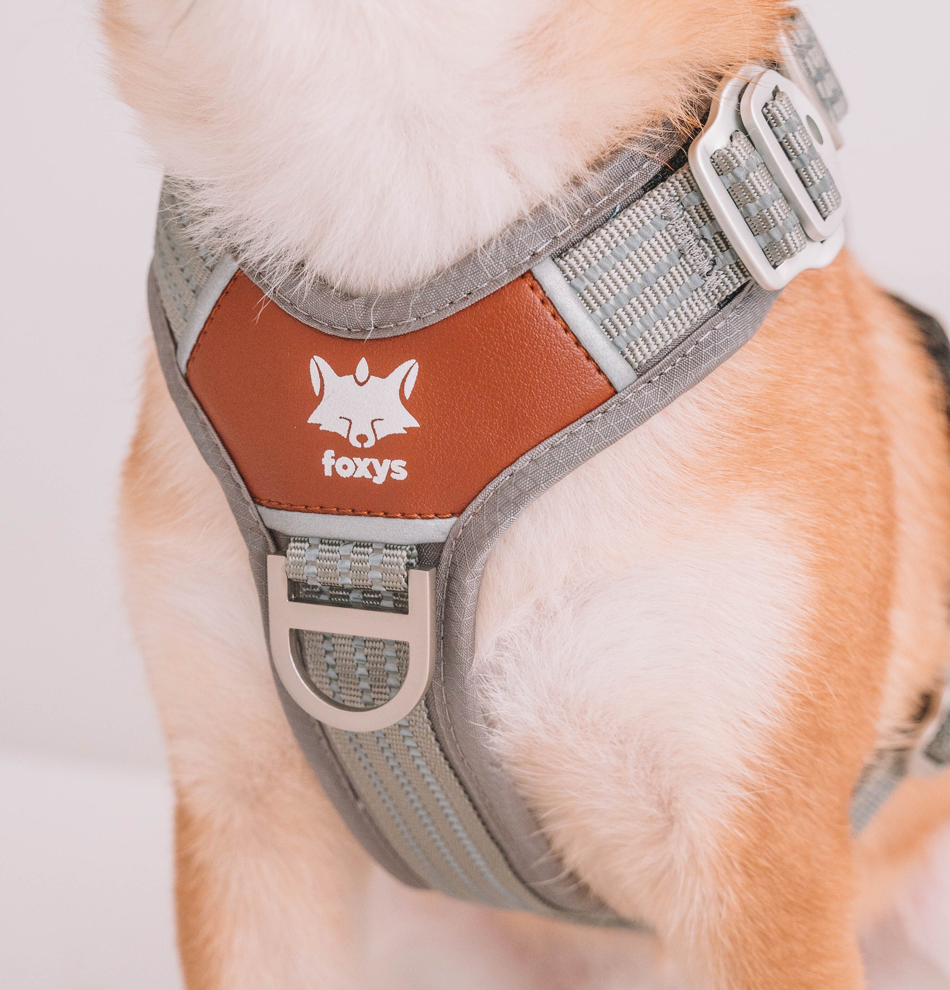 CountryFox™ Dog Harness | Foxys