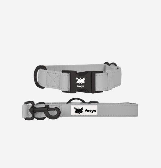 CityFox™ Kit Collar y Correa 2,5m |  Gris