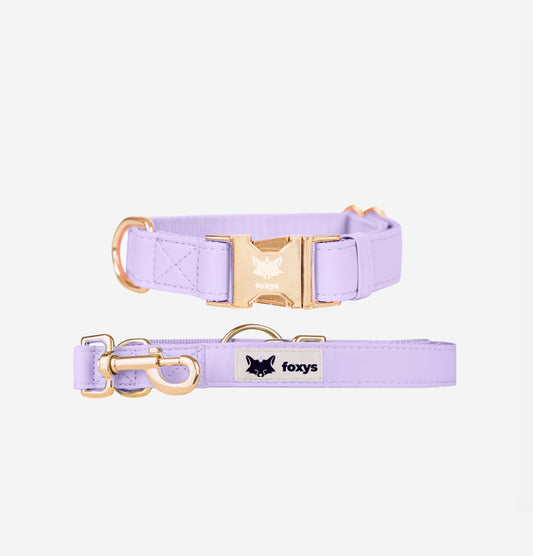 CityFox™ Kit Collar y Correa 2,5m |  Lila