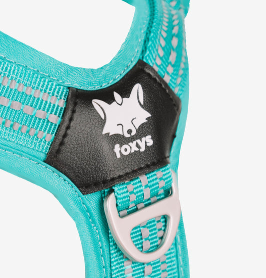 CountryFox™ Harness |  Aqua