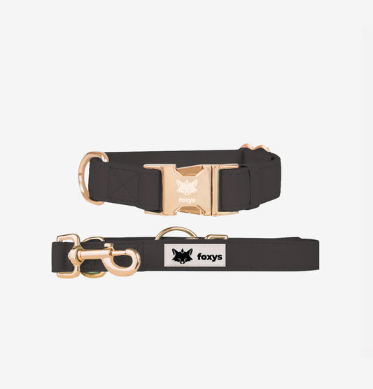 CityFox™ Kit Collar y Correa 2m |  Negro