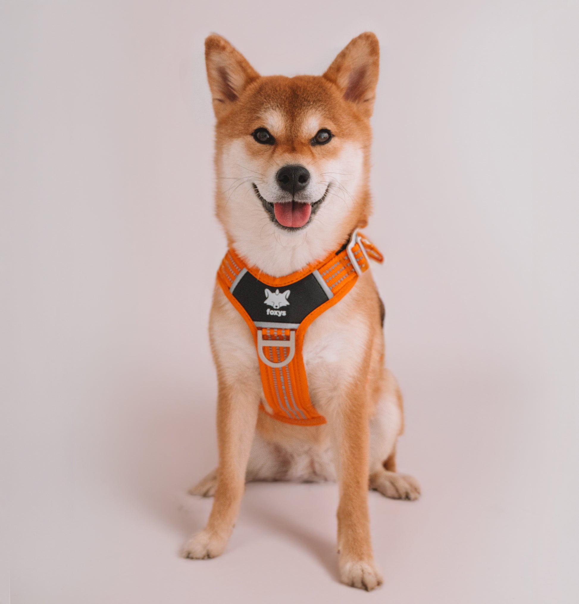 CountryFox™ PRO Dog Harness | Foxys