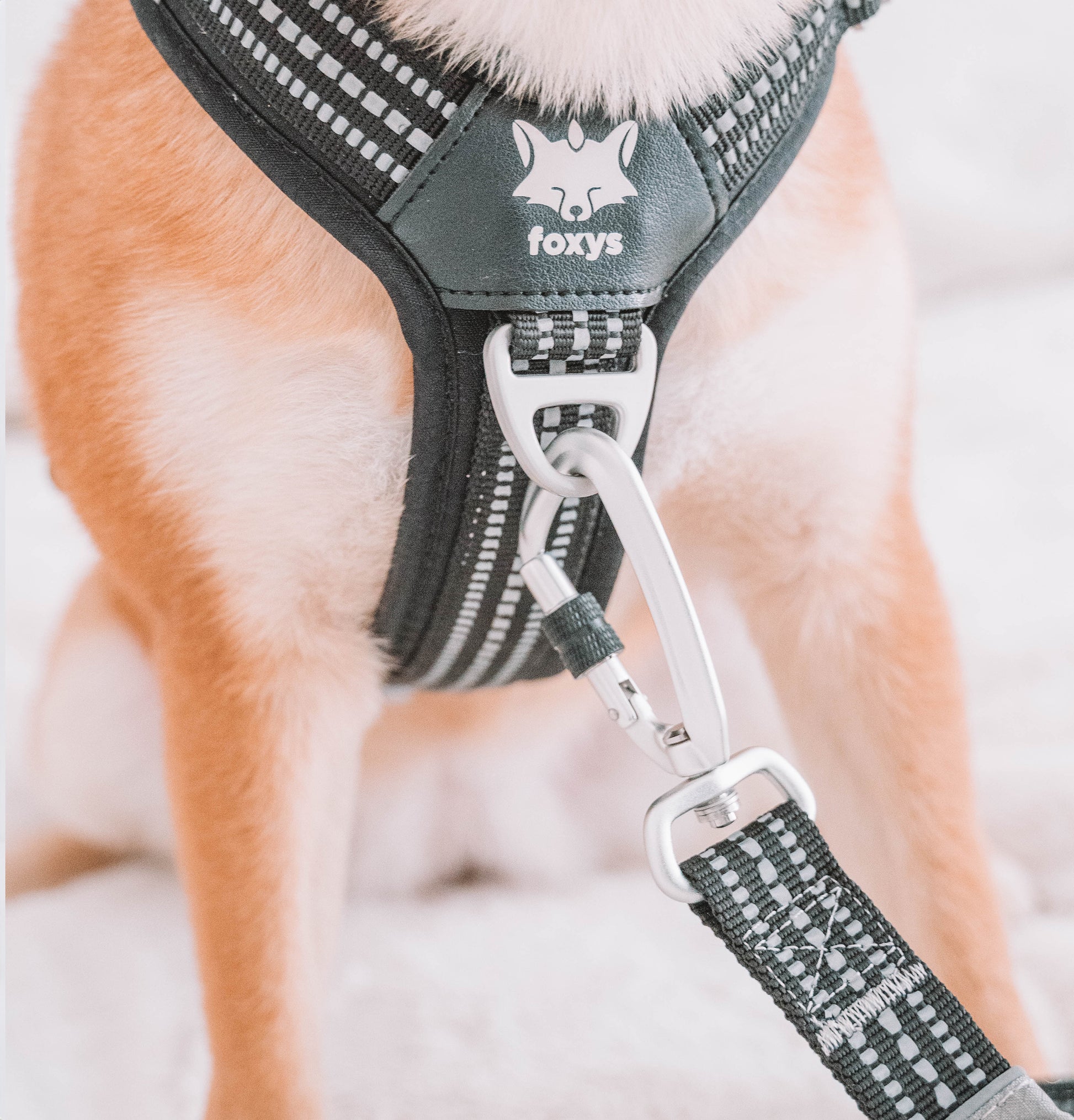 CountryFox™ Dog Harness | Foxys