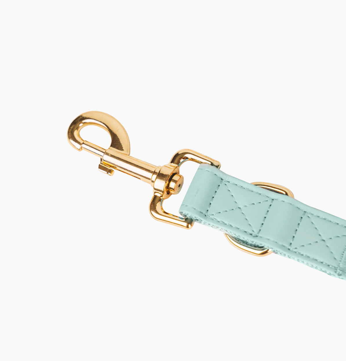 CityFox™ Kit Collar y Correa de Perro - Color Aqua | Foxys