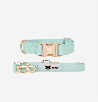 CityFox™ Kit Collar y Correa de Perro - Color Aqua | Foxys