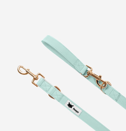 CityFox™ Kit Collar y Correa de Perro - Color Aqua | Foxys